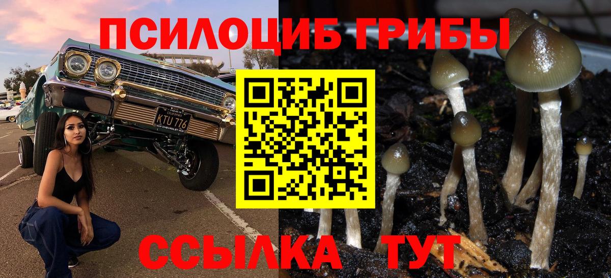 Псилоцибиновые грибы мухоморы  Галлюциногенные грибы Cubensis  Вход с VPN  Зеленогорск 
