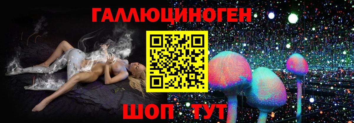 Галлюциногенные грибы Psilocybe Зеленогорск